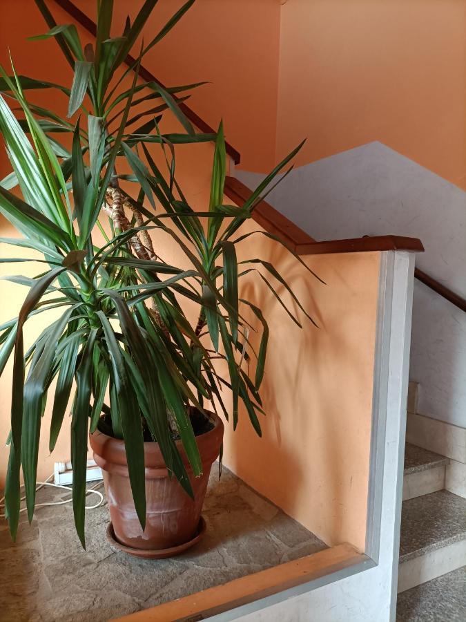 Albergo Roma Gattico Eksteriør bilde